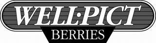 WELL· PICT BERRIES logo