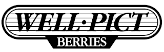 WELL · PICT BERRIES logo