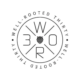 WELL-ROOTED THIRTY WELL ROOTED THIRTY WR 30 logo