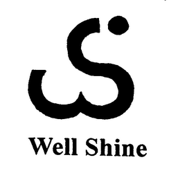 WELL SHINE logo