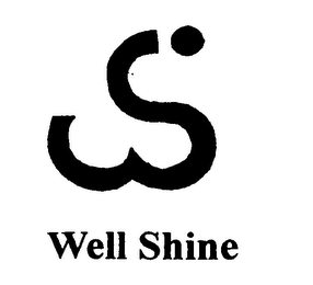 WELL SHINE logo