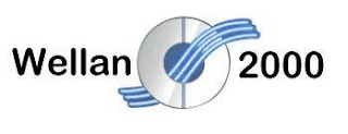 WELLAN 2000 logo