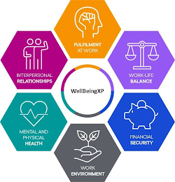 WELLBEINGXP, INTERPERSONAL RELATIONSHIPS, MENTAL AND PHYSICAL HEALTH, WORK ENVIRONMENT, FINANCIAL SECURITY, WORK-LIFE BALANCE, FULFILMENT AT WORK logo