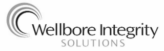 WELLBORE INTEGRITY SOLUTIONS logo