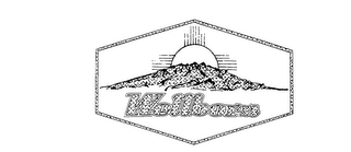 WELLBORN logo
