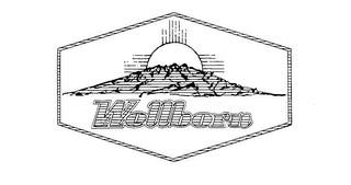 WELLBORN logo