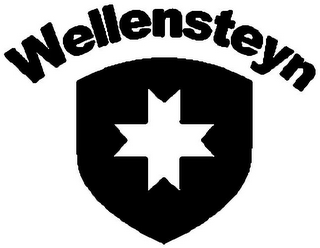 WELLENSTEYN logo