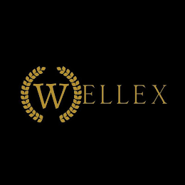 WELLEX logo