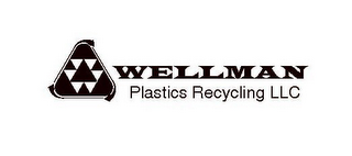 WELLMAN PLASTICS RECYCLING LLC logo
