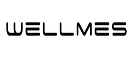 WELLMES logo
