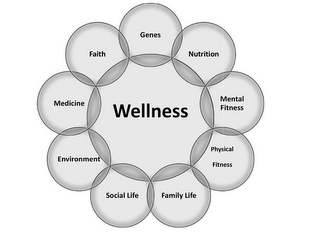 WELLNESS GENES NUTRITION MENTAL FITNESS PHYSICAL FITNESS FAMILY LIFE SOCIAL LIFE ENVIRONMENT MEDICINE FAITH logo