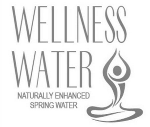 WELLNESS WATER NATURALLY ENHANCED SPRING WATER logo