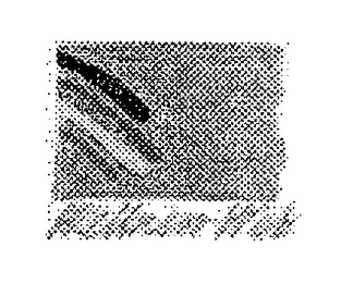 WELLNESS WEB logo