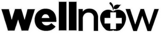 WELLNOW logo