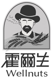 WELLNUTS logo