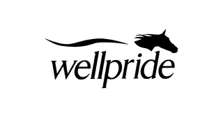 WELLPRIDE logo
