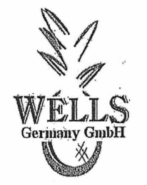WELLS GERMANY GMBH logo