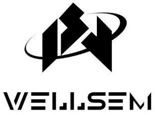 WELLSEM logo