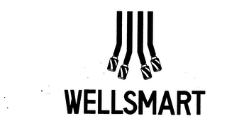WELLSMART logo