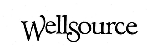 WELLSOURCE logo