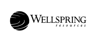 WELLSPRING RESOURCES logo