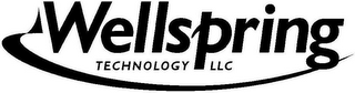 WELLSPRING TECHNOLOGY LLC logo