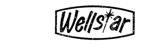 WELLSTAR logo