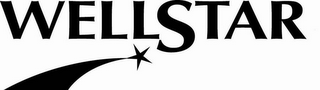 WELLSTAR logo