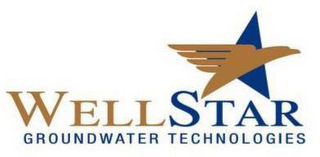 WELLSTAR GROUNDWATER TECHNOLOGIES logo
