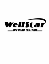 WELLSTAR OFF ROAD LED LIGHT logo