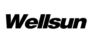 WELLSUN logo