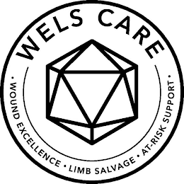 WELS CARE · WOUND EXCELLENCE · LIMB SALVAGE · AT-RISK SUPPORT · logo