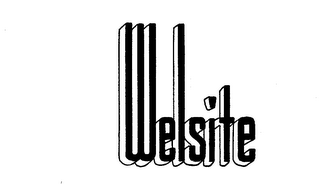 WELSITE logo