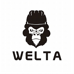 WELTA logo