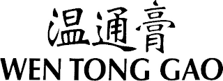 WEN TONG GAO logo