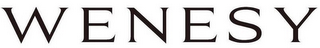 WENESY logo