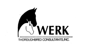 WERK THOROUGHBRED CONSULTANTS, INC. logo