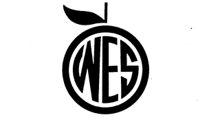 WES logo