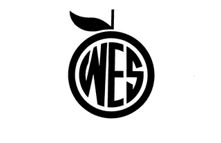 WES logo