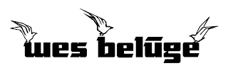 WES BELUGE logo