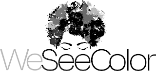 WESEECOLOR logo