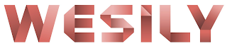 WESILY logo