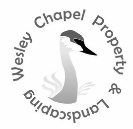WESLEY CHAPEL PROPERTY & LANDSCAPING logo