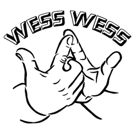 WESS WESS logo