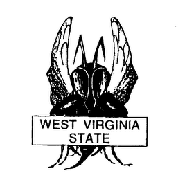 WEST VIRGINIA STATE logo