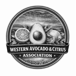 WESTERN AVOCADO & CITRUS ASSOCIATION