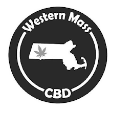 WESTERN MASS CBD logo