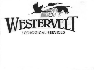 WESTERVELT ECOLOGICAL SERVICES logo