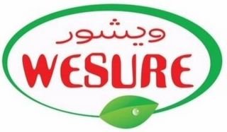 WESURE logo
