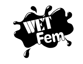 WET FEM logo